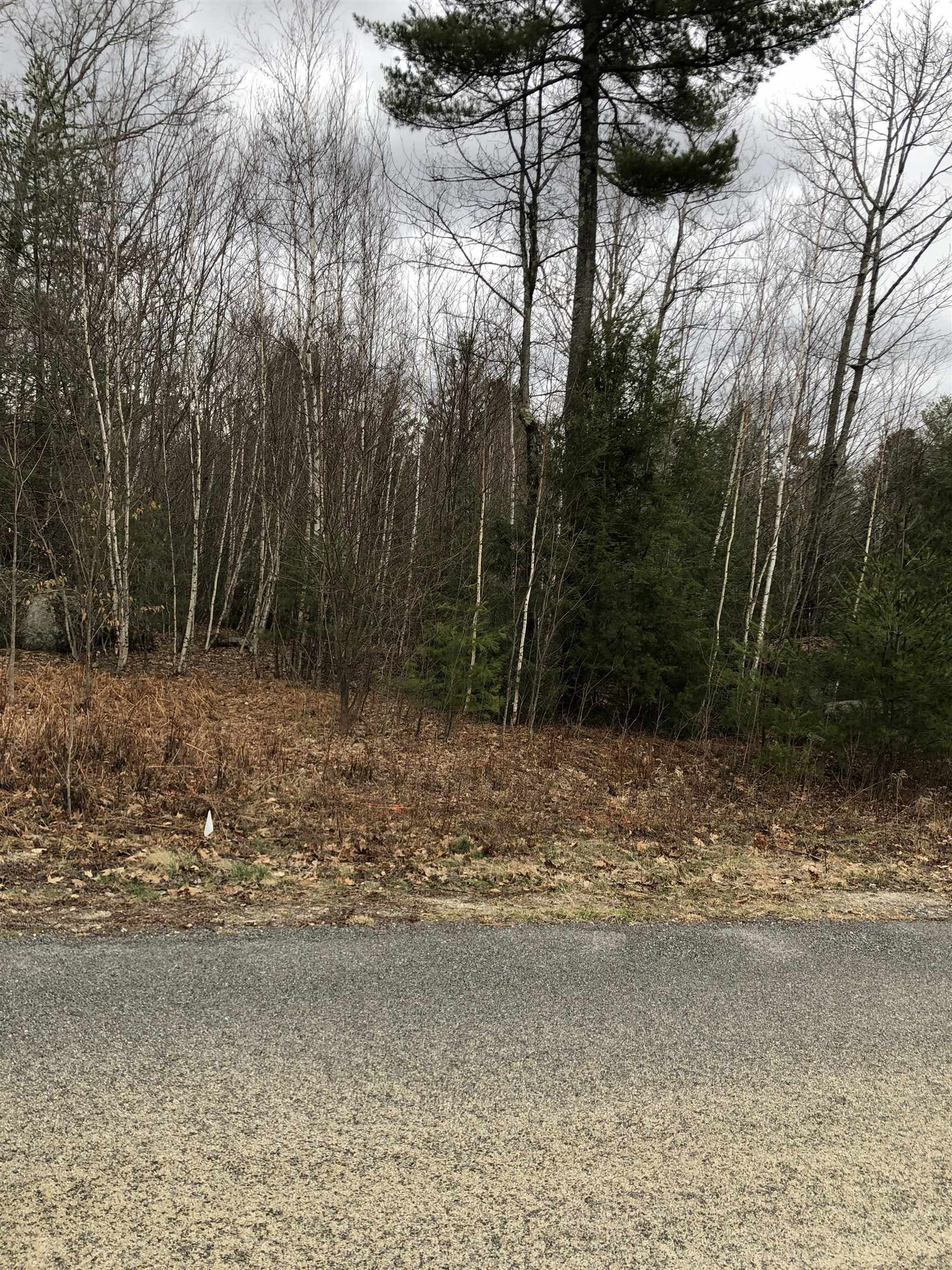 Property Photo:  19A-7 Moose Brook Lane  NH 03449 