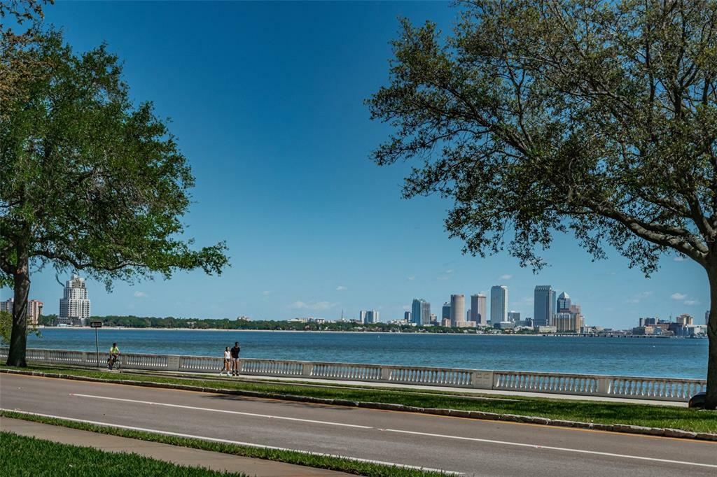 Property Photo:  4141 Bayshore Boulevard 104  FL 33611 