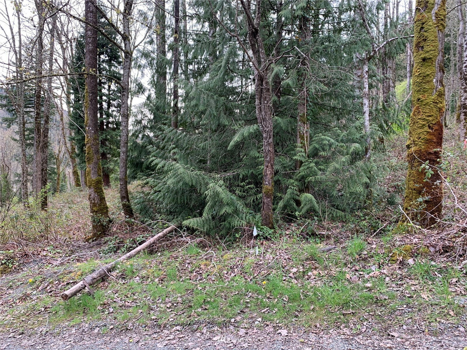 Property Photo:  7450 272nd Avenue SE  WA 98027 