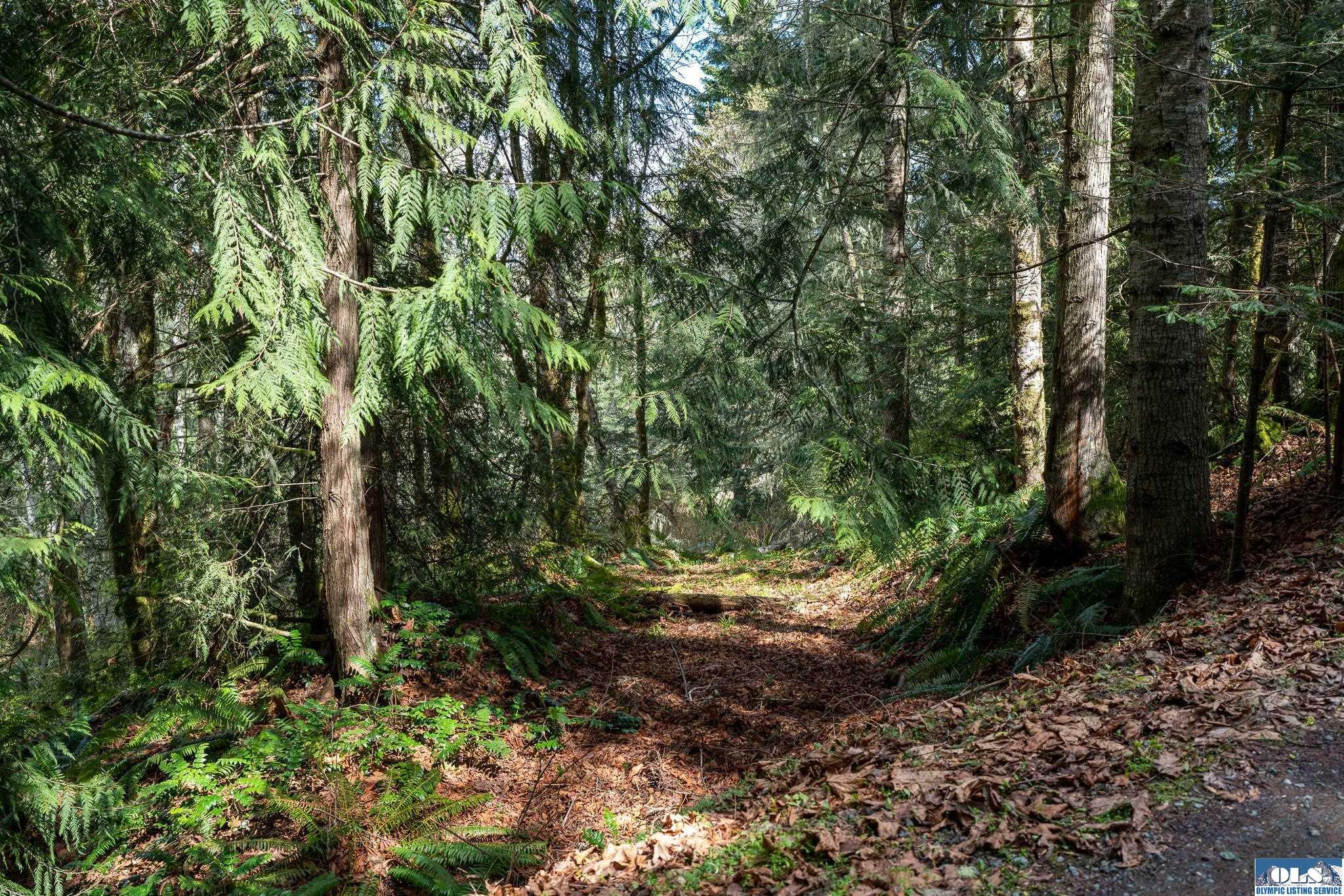 Property Photo: 0 Break View Rd Lot #2 WA 98363