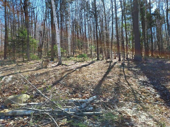 Property Photo:  00 Potato Hill Road  NH 03603 