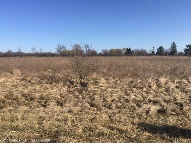Property Photo: Vacant Land Parcel6 Serenity Court MI 48041