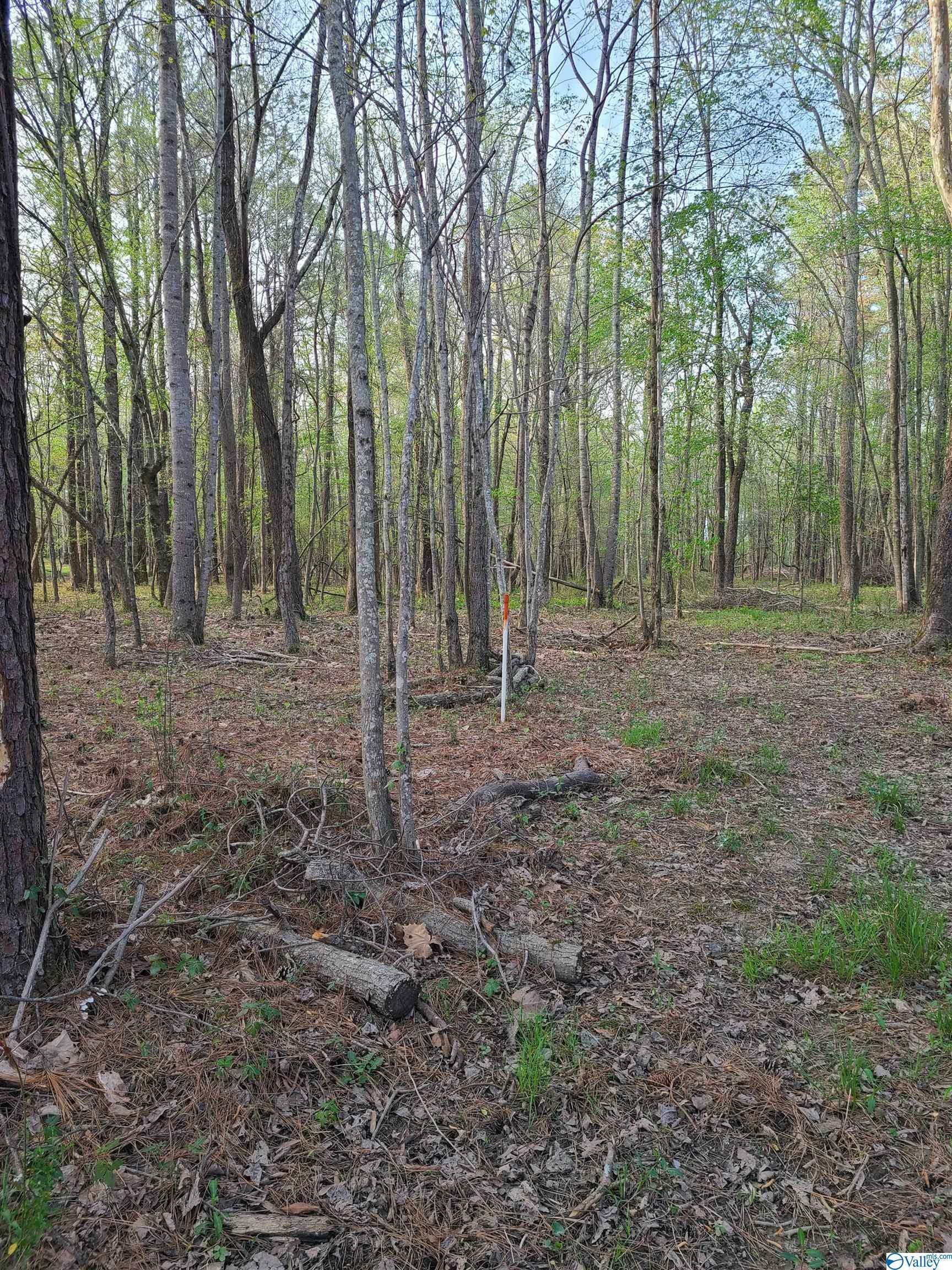 Property Photo:  0 Highway 53  AL 35749 