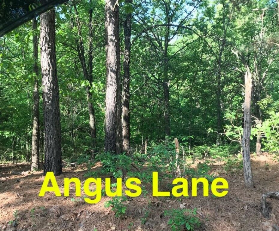 Property Photo: Lot 30 Block 3 Angus Lane AR 72715