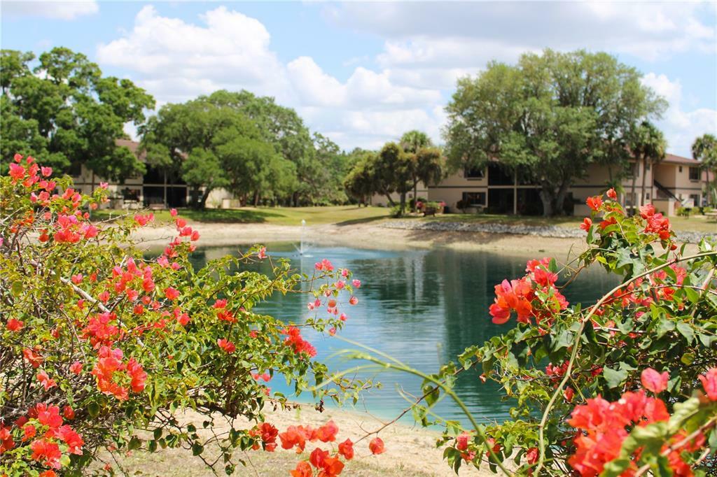 Property Photo: 19505 Quesada Avenue Oo 203 FL 33948