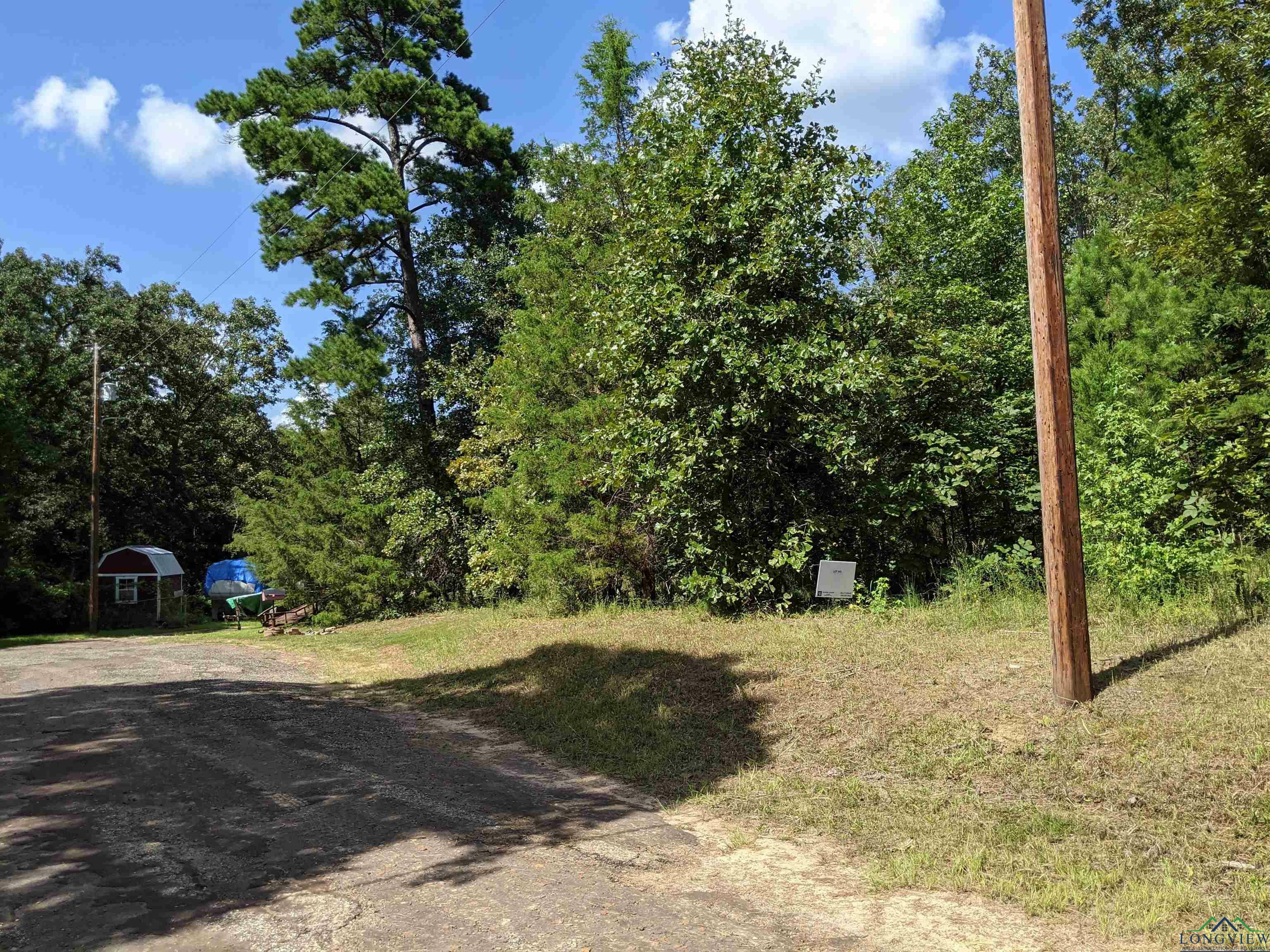 Property Photo:  Tbd Balboa Dr. Lot 160 Gold Coast Lot 160  TX 75657 