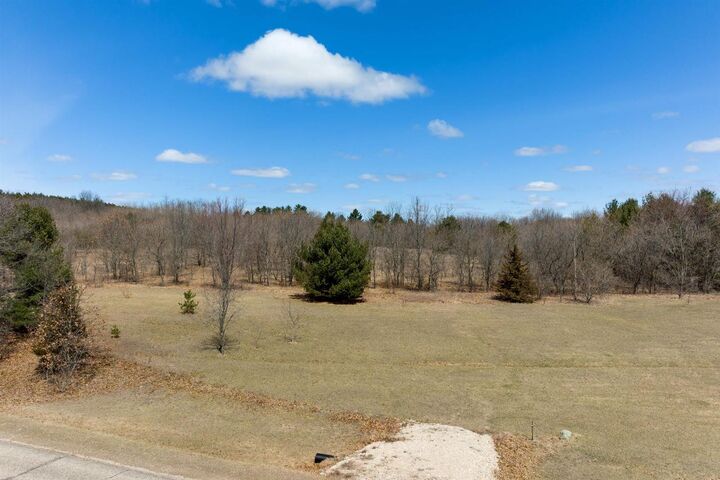 Lots 1-2 North Front St  Coloma WI 54930 photo