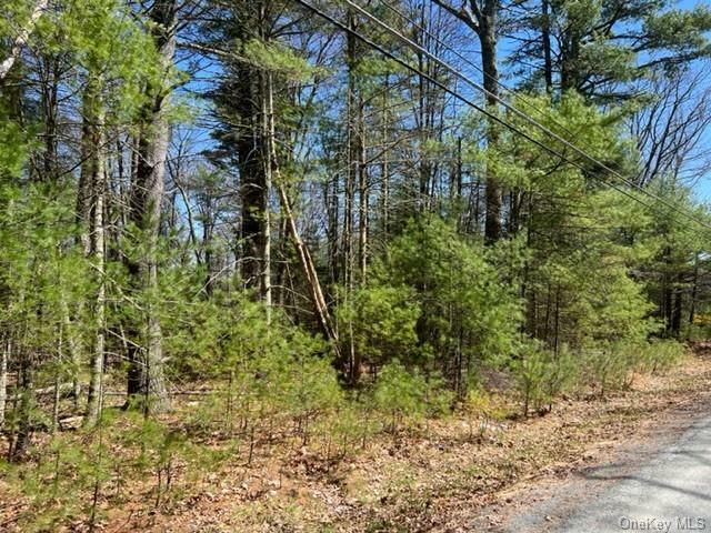 Property Photo:  Lot 9 Van Tuyl Road  NY 12719 