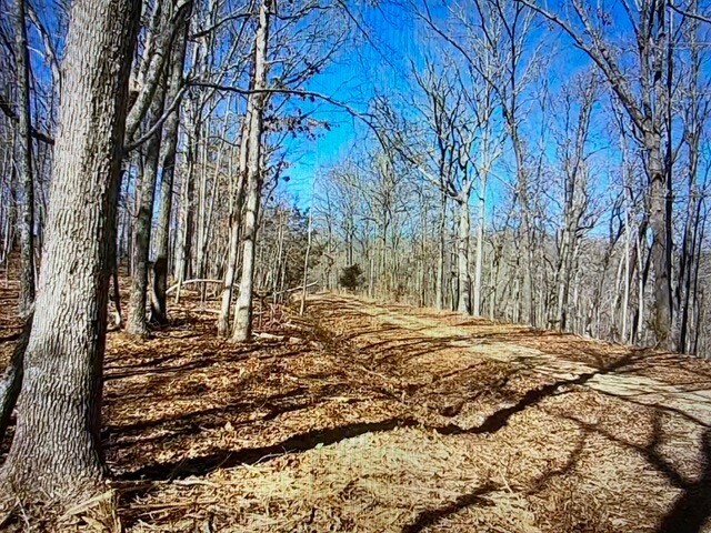 Property Photo:  11413 Long Branch Road  AR 72756 