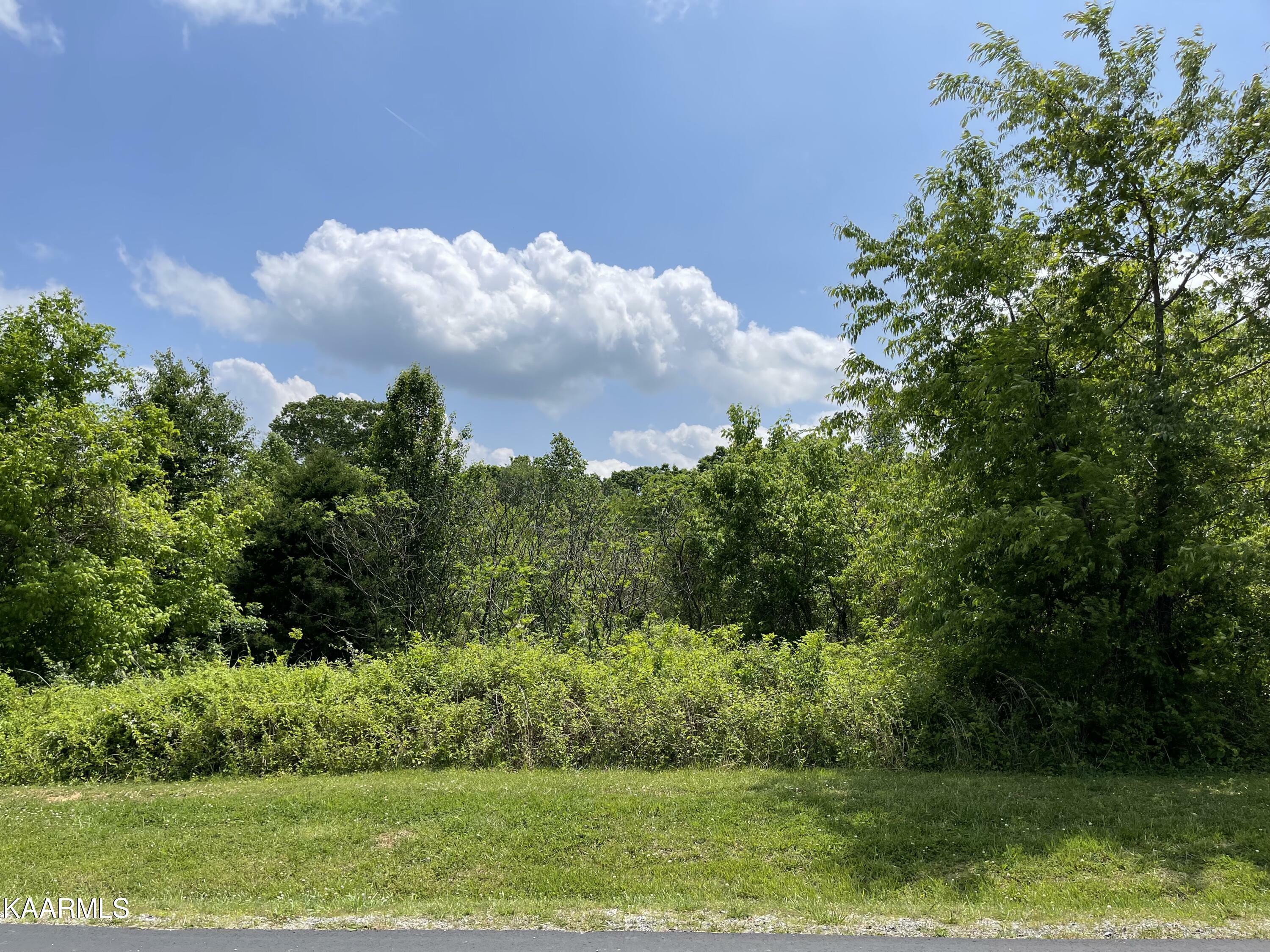 Property Photo: E Walelu Tr TN 37885