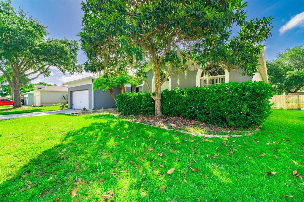 Property Photo:  28150 Brokenmead Path  FL 33543 