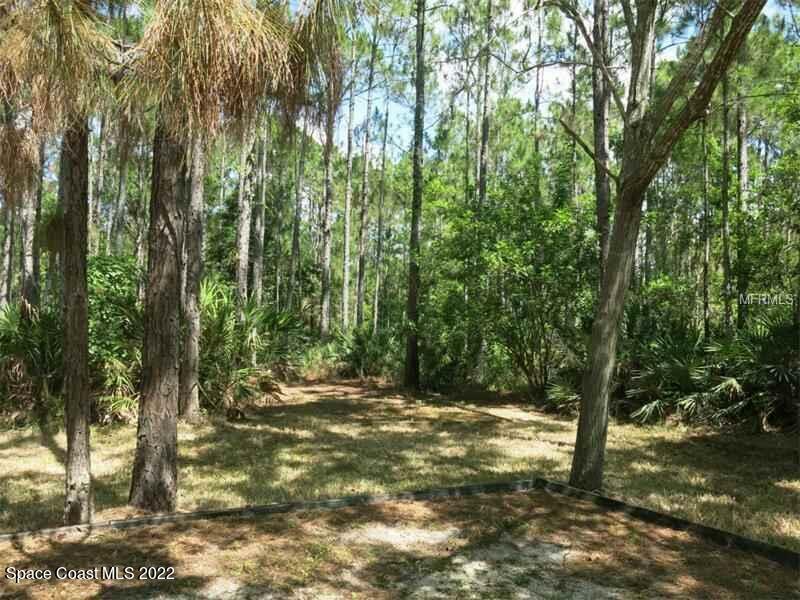 971 Wild Pine Road  Mims FL 32754 photo