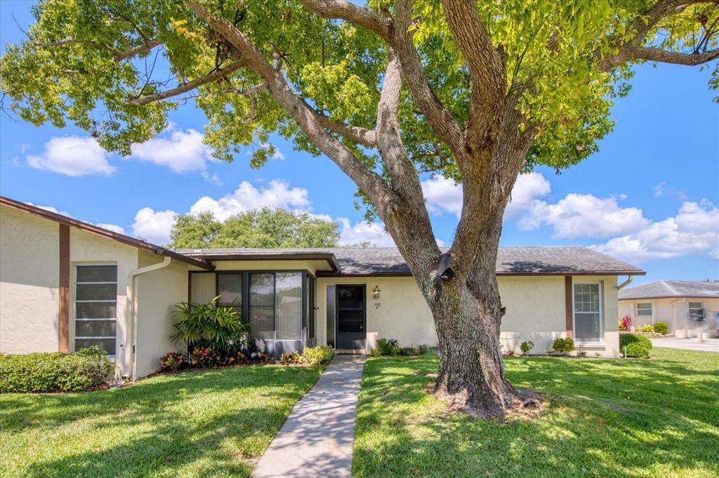 Property Photo: 1335 Queen Anne Drive A FL 34684
