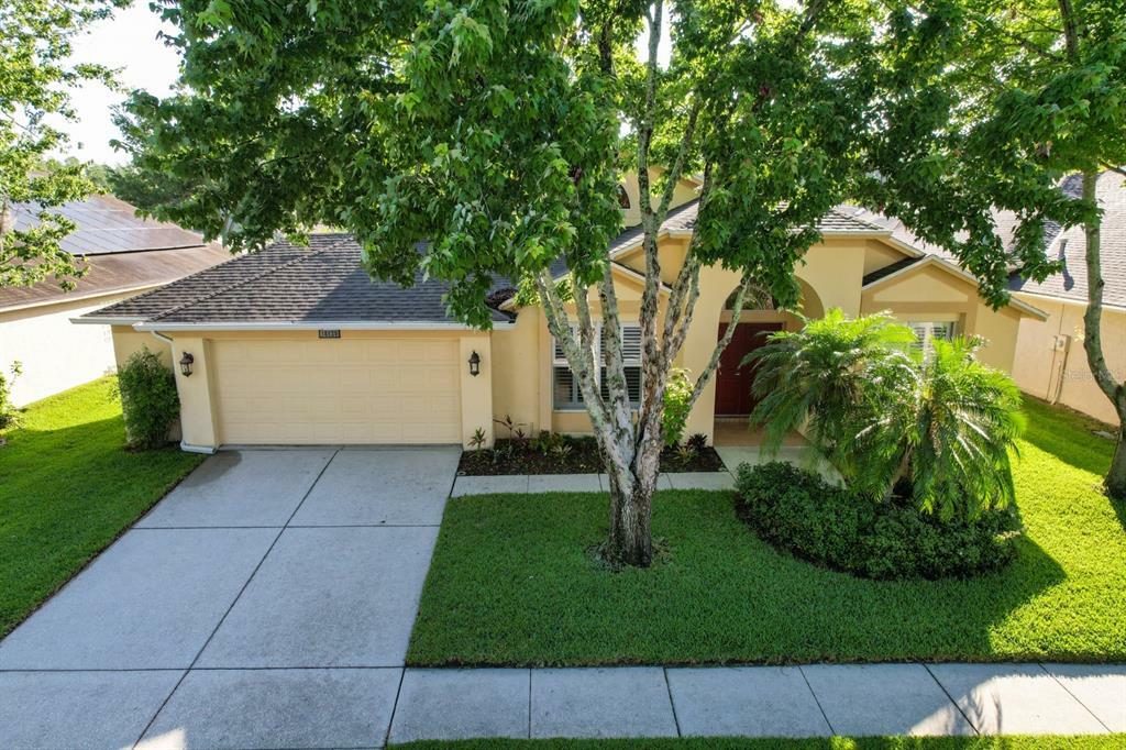 Property Photo:  18129 Sweet Jasmine Drive  FL 33647 