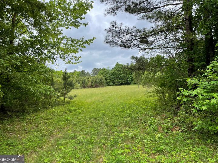 Property Photo:  216 McMichen Road  GA 30157 