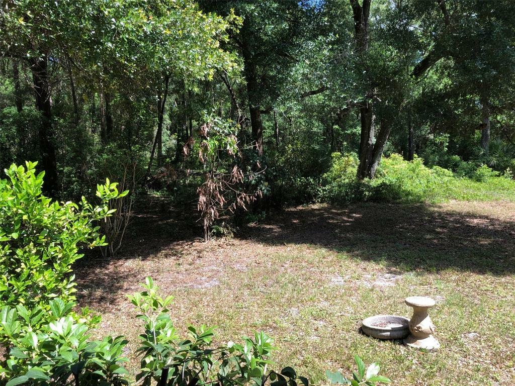 Property Photo:  245 Birch Avenue  FL 32763 