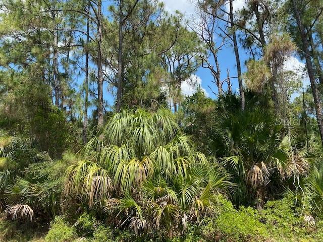 Property Photo: Lancer Lot 12 Avenue FL 34286