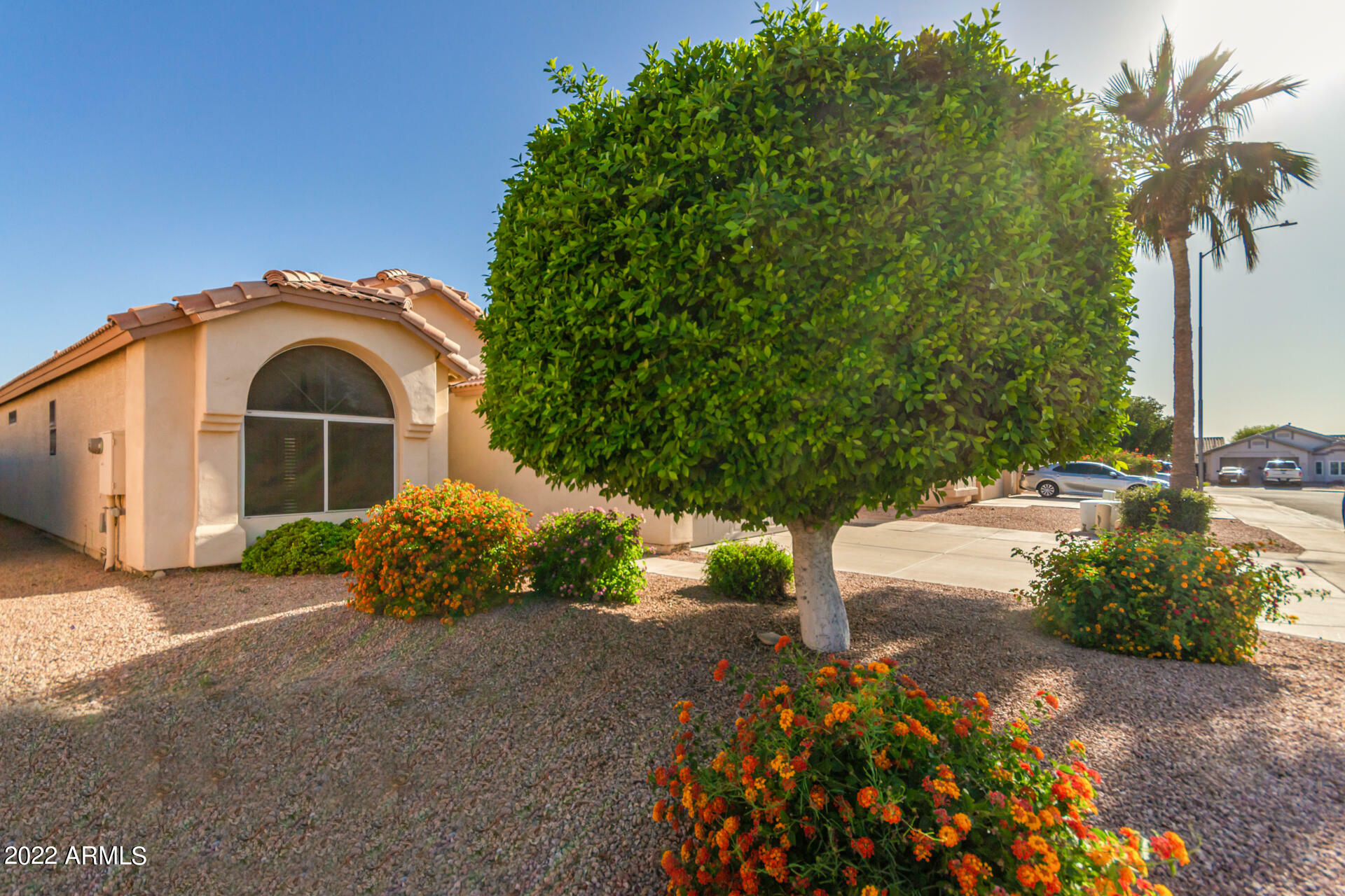 Property Photo:  4331 E Bayberry Avenue  AZ 85206 