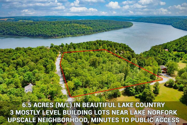 720 Lake Point Bluff  Clarkridge AR 72623 photo