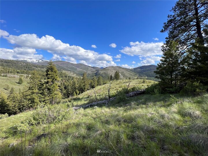 Property Photo:  0 Lot 34 Wildman Road  WA 99166 