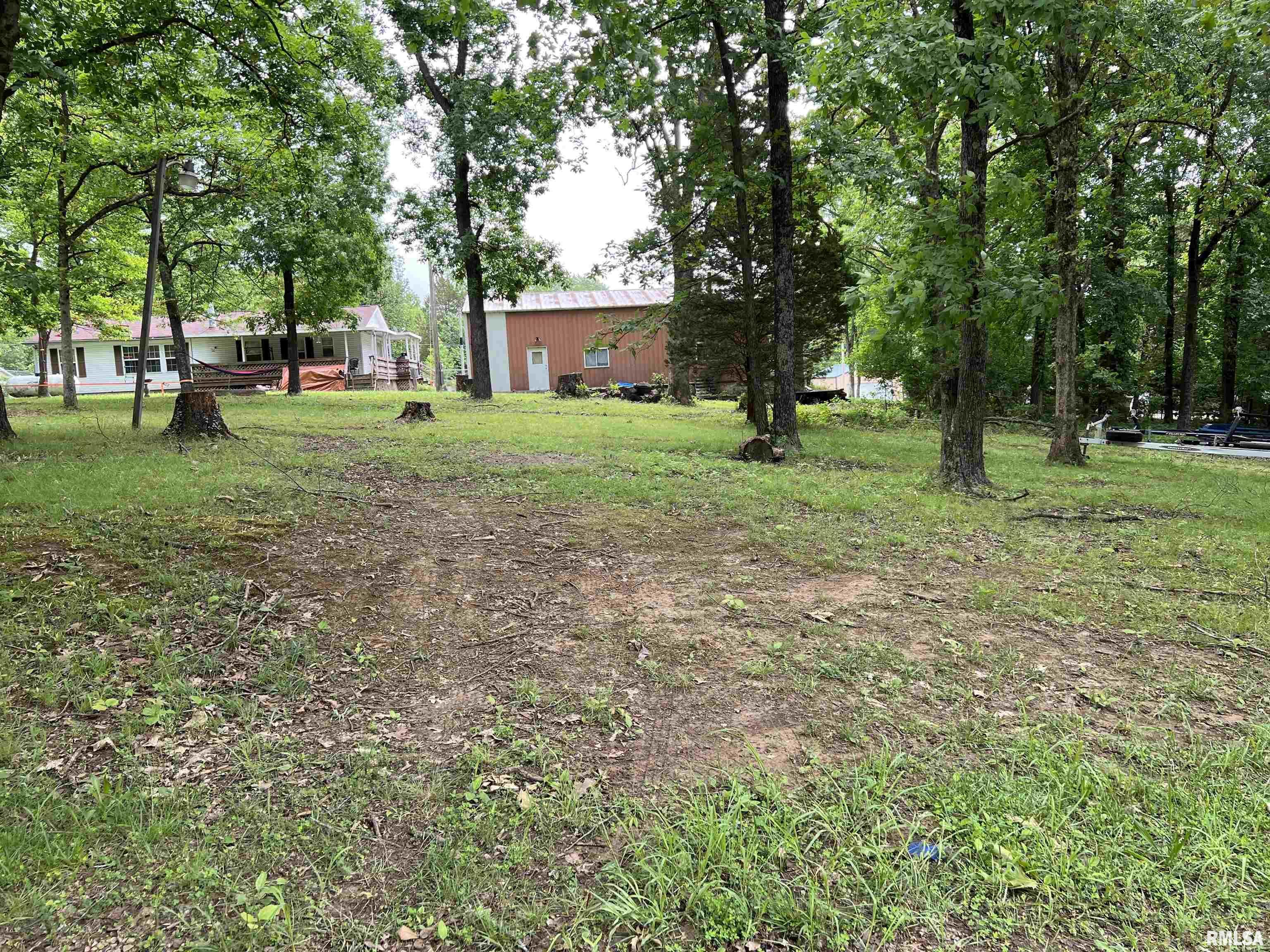 Property Photo:  Lot 870 Susan  IL 62939 