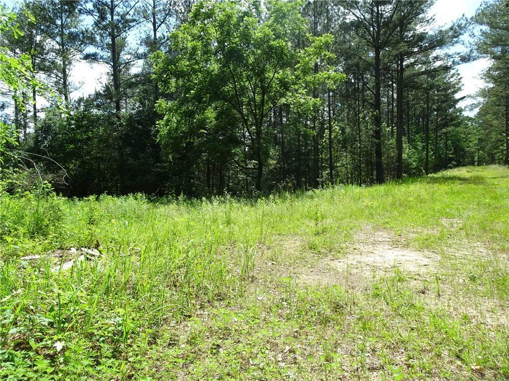 Property Photo:  60+ Ac Byrd And Townley Rds Road  GA 30054 