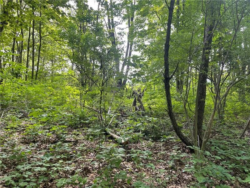 Property Photo: 00 Off T668-Kooser Road PA 15683