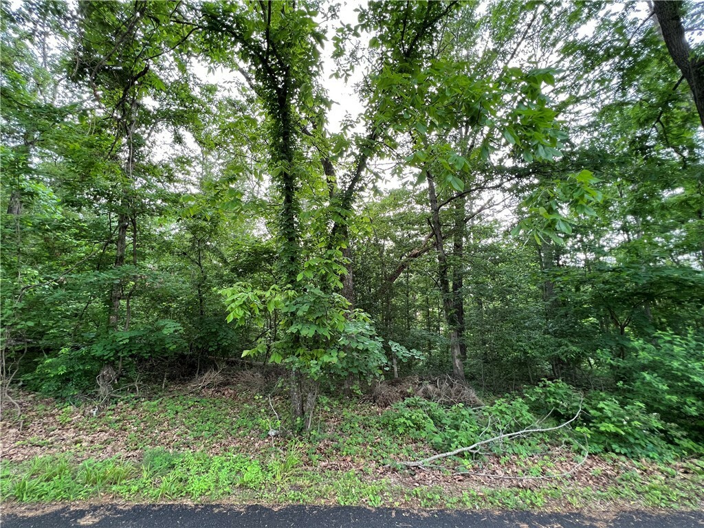 Property Photo:  Lot 38 Block 2 Lambeth Drive  AR 72714 