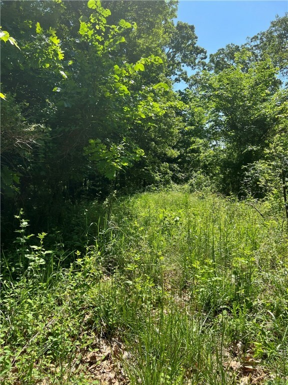 Property Photo:  Tract 1 Pine Grove Road  AR 72734 