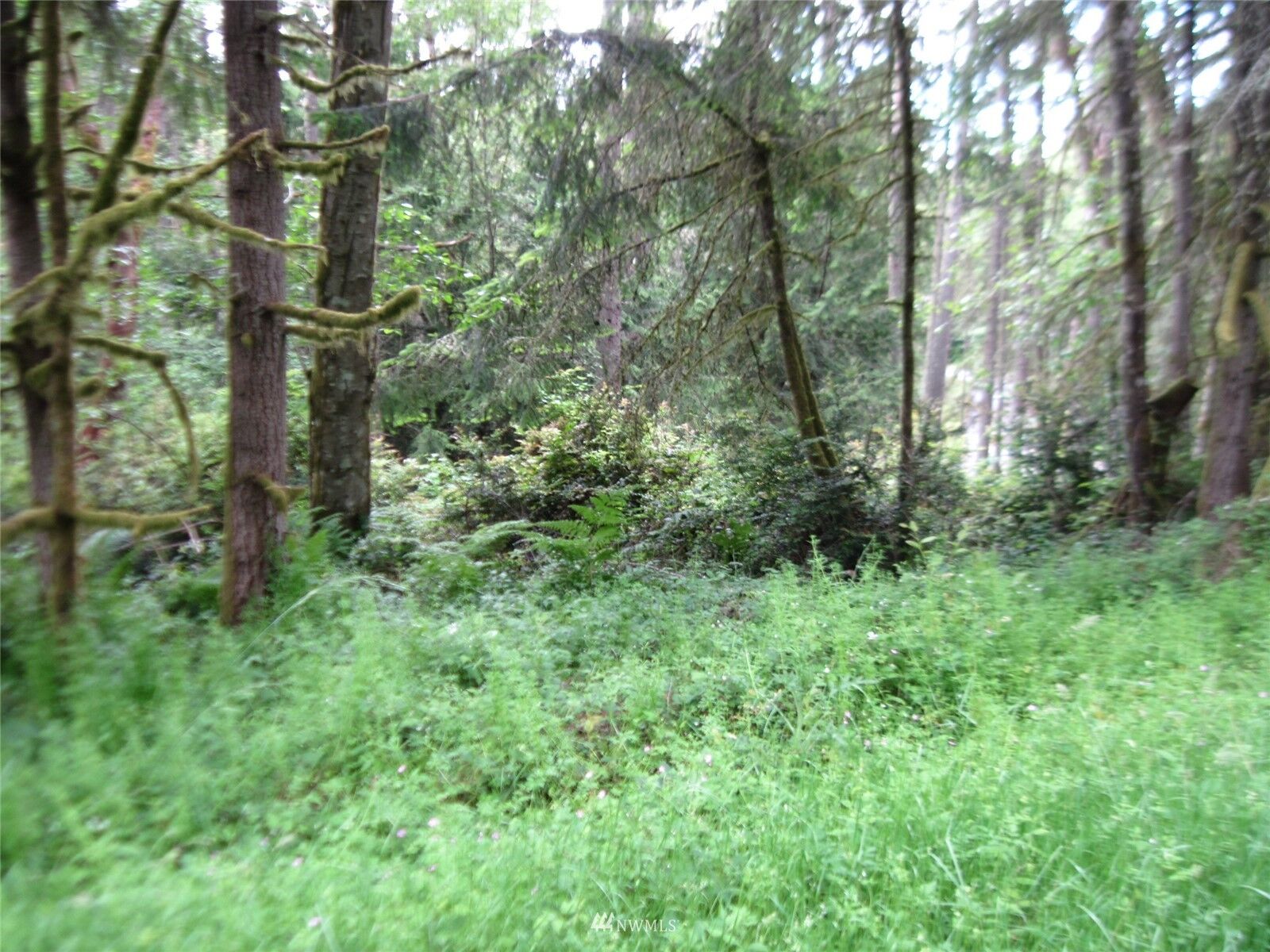 Property Photo: 11515 Breaker Way WA 98303