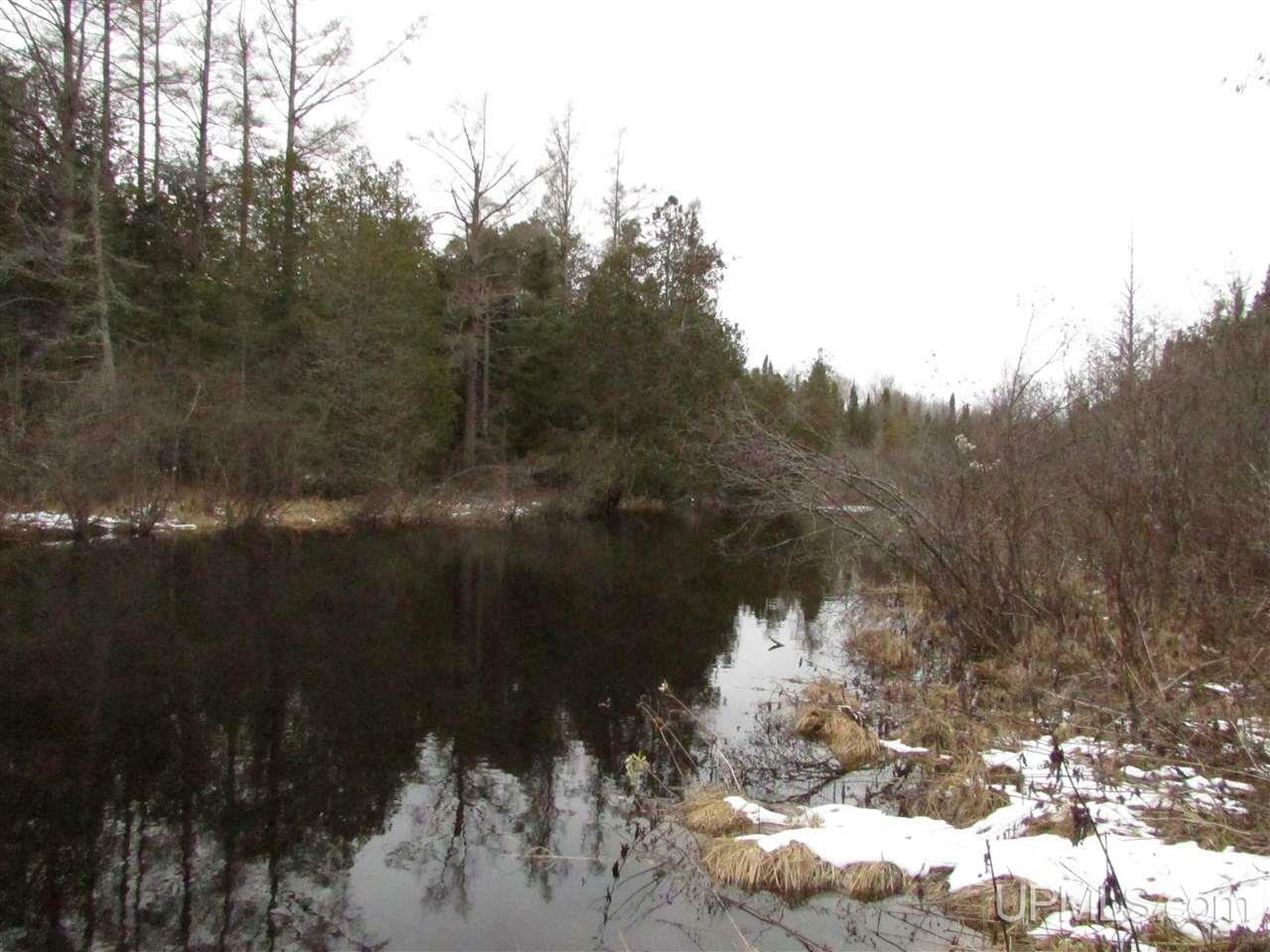 Property Photo: Tbd Whitefish MI 49891