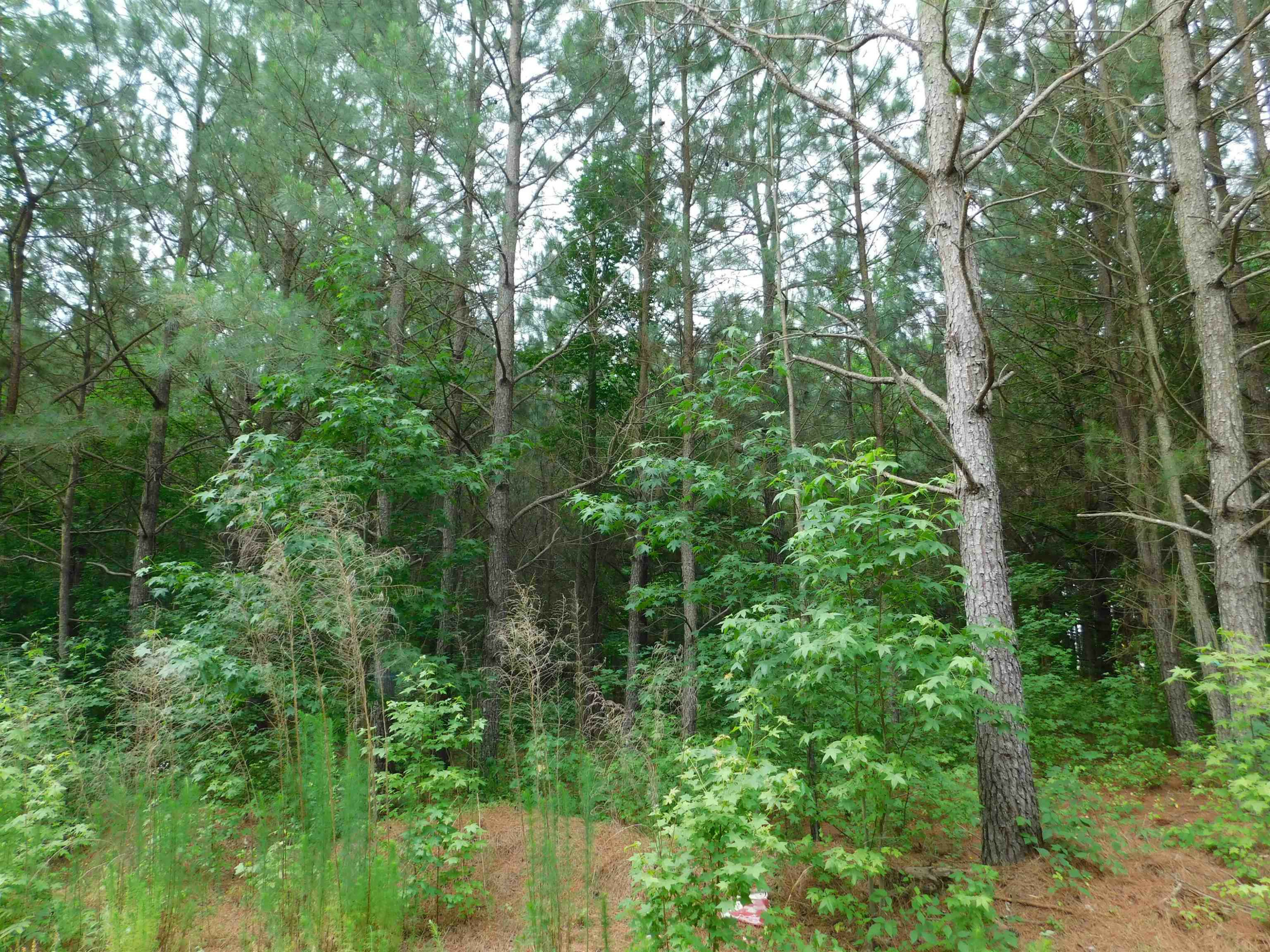 Property Photo:  10300 Nc 222 Highway  NC 27557 