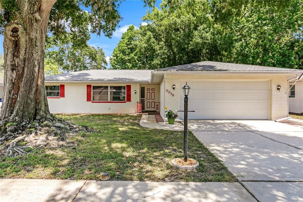 Property Photo: 3230 Spanish Moss Lane FL 34684