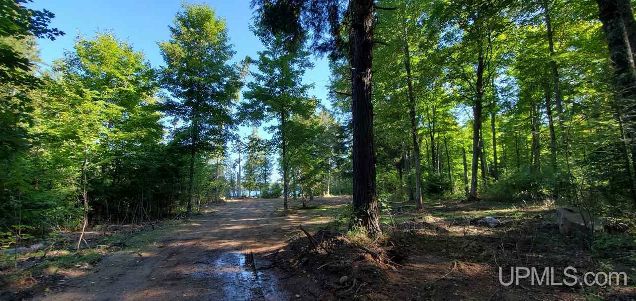 Property Photo: Tbd East Lake 13 MI 49935