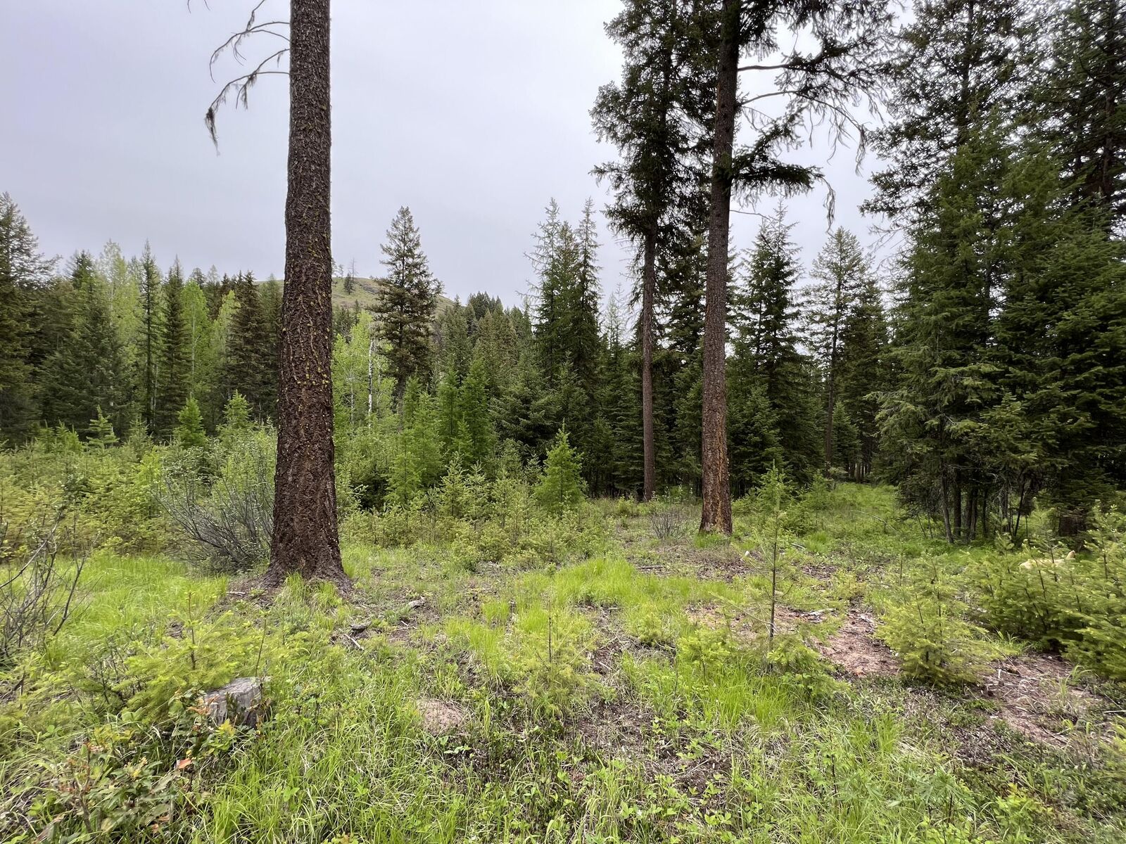 Property Photo:  Tbd Back Acre Ln  WA 99166 