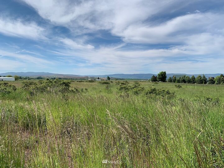 Property Photo:  9800 Brick Mill Road  WA 98926 