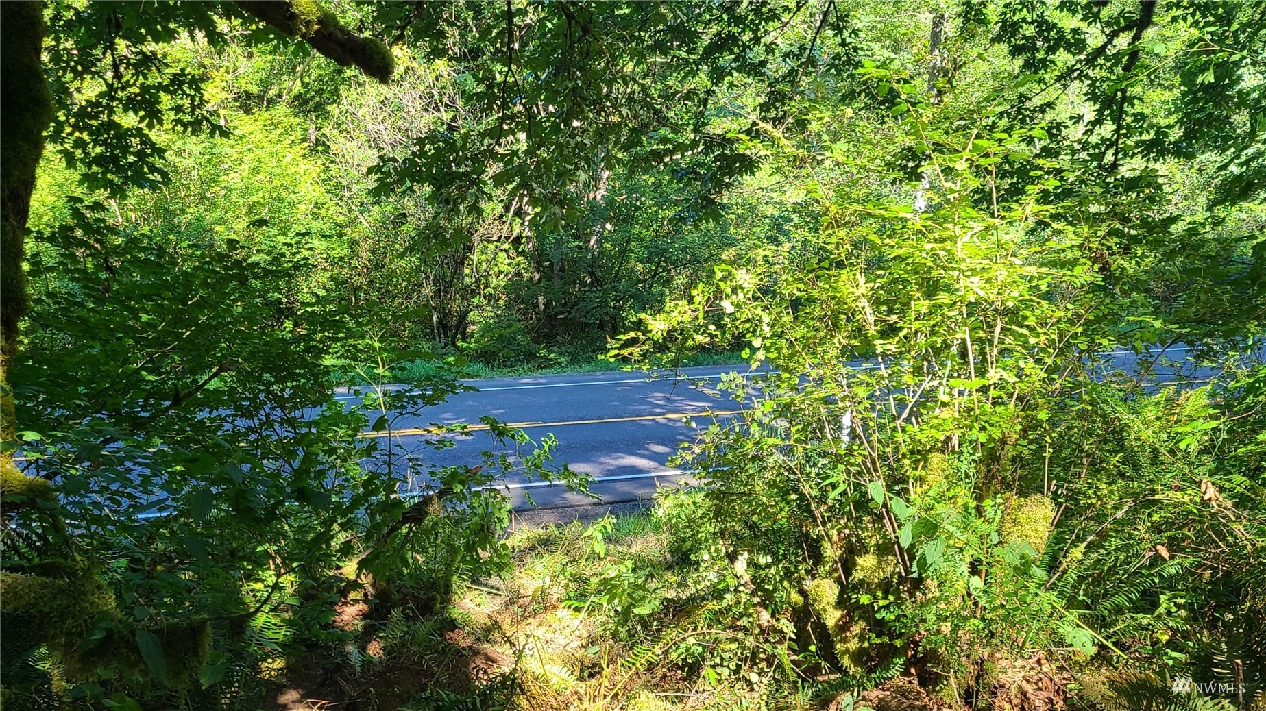 Property Photo:  999999 Highway 101 Highway  WA 98376 