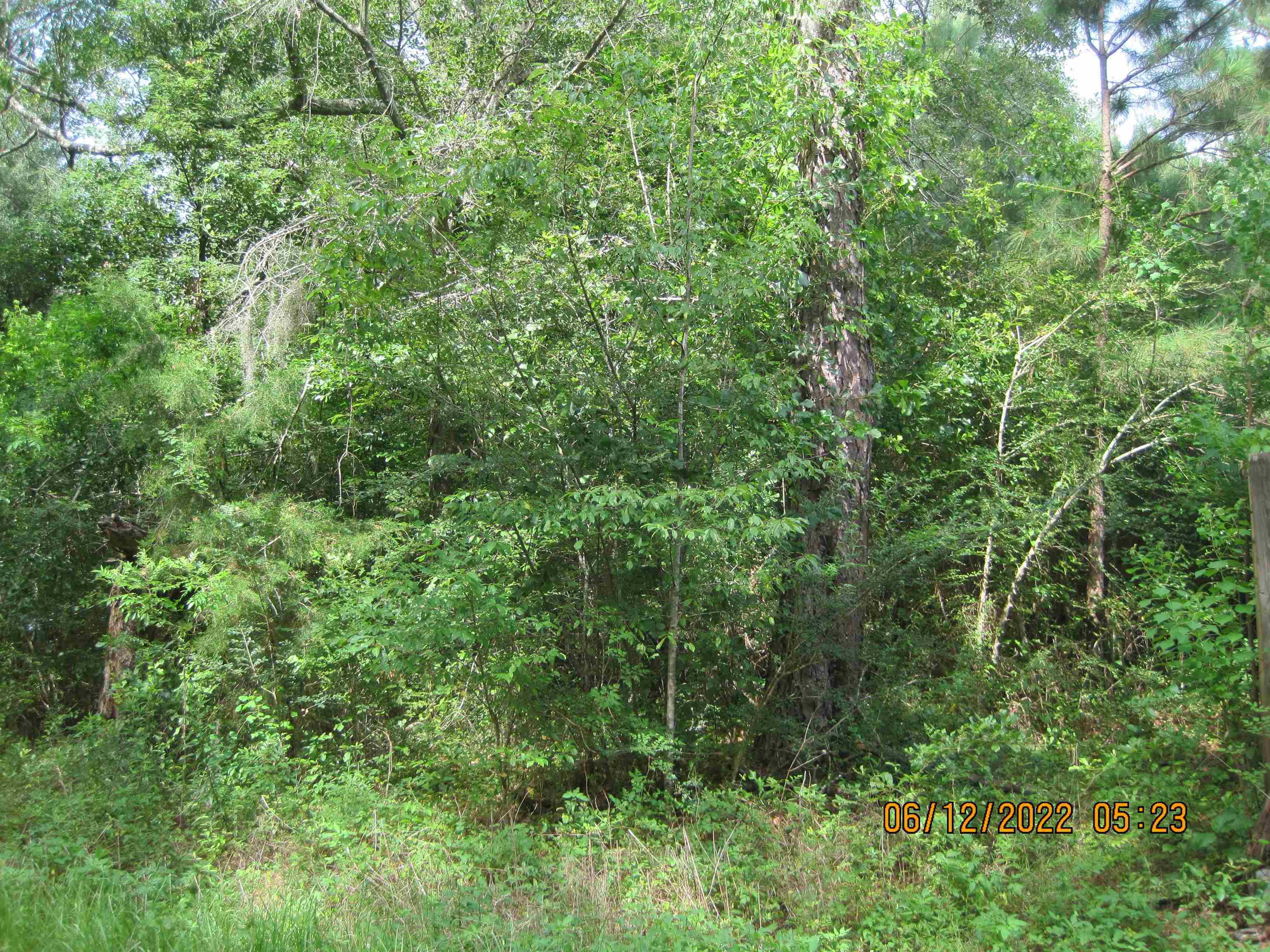 Property Photo:  Xxx Garrett Drive  FL 32333 