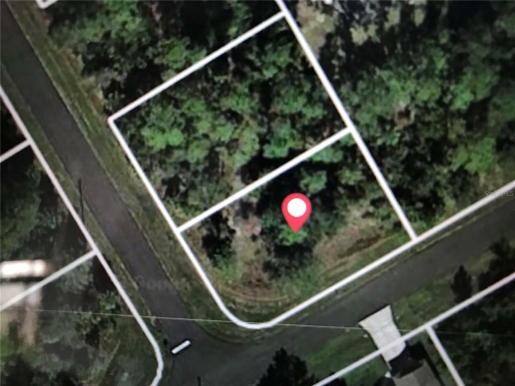 1303 Adalia Terrace  Port Charlotte FL 33953 photo