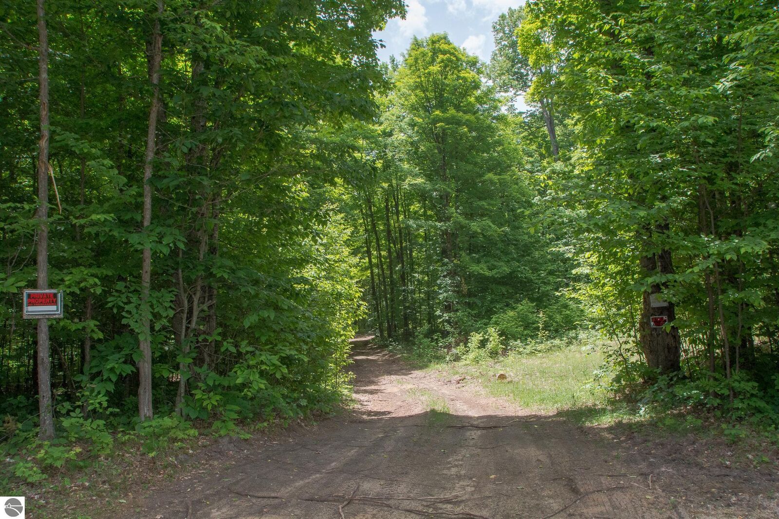 Property Photo: Primrose Trail MI 49633