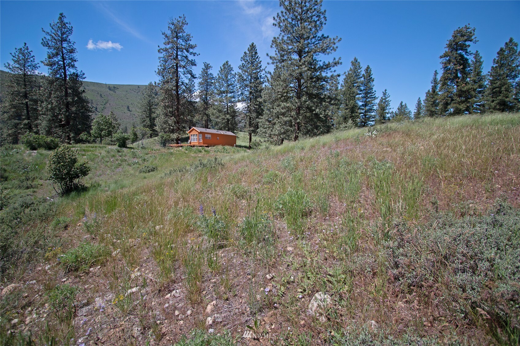 Property Photo:  11 Mertensia Road  WA 98862 