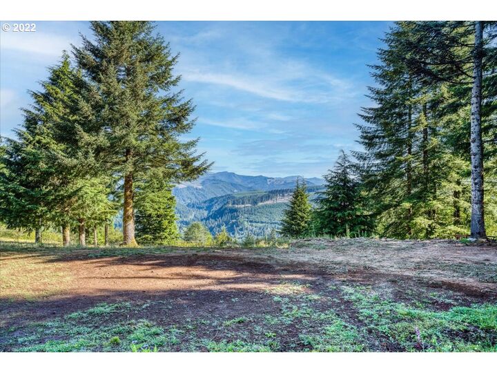 332 Karousel Ln  Washougal WA 98671 photo