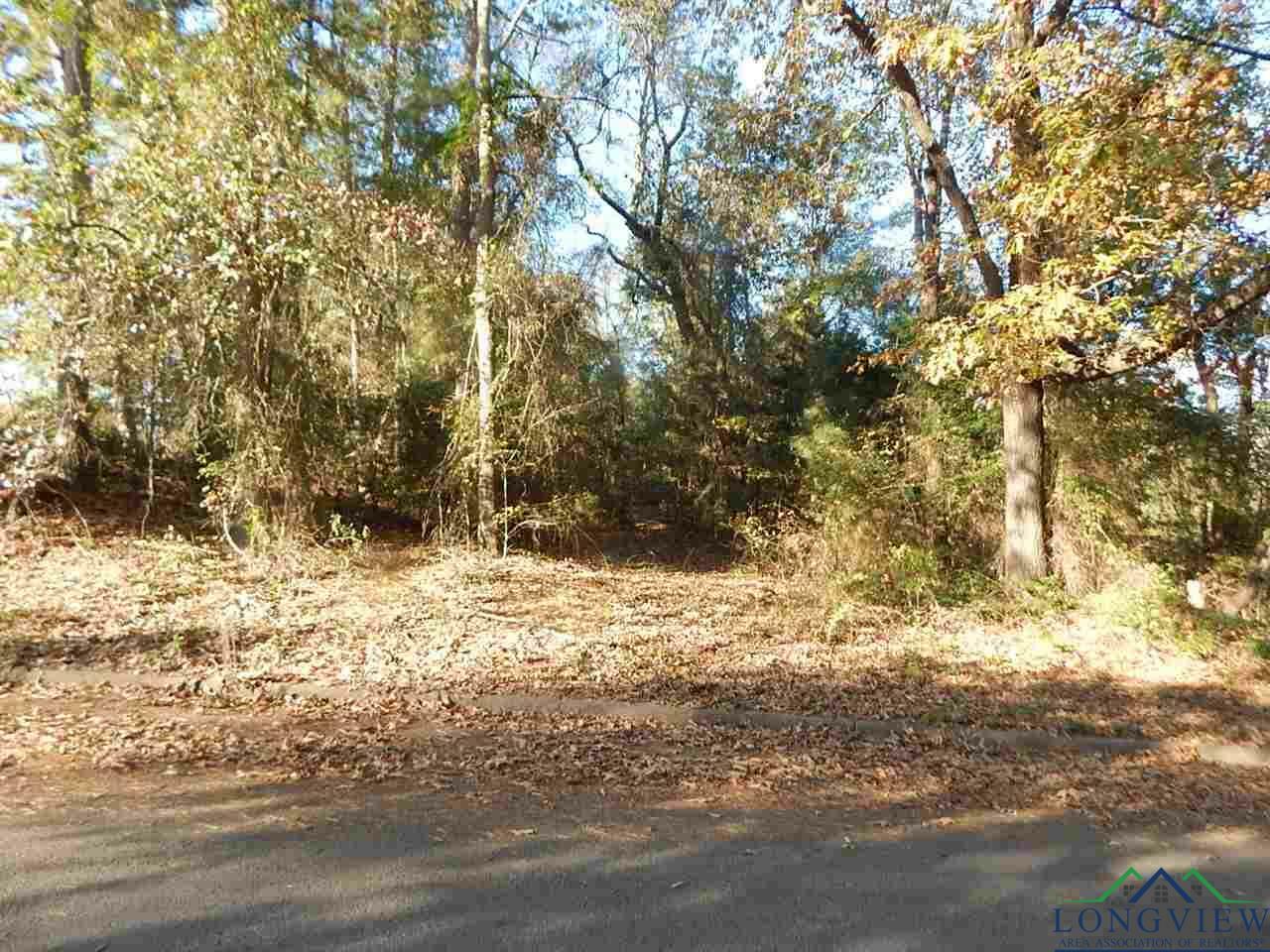 Tbd Lot 13 Pinecrest St.  Gilmer TX 75645 photo