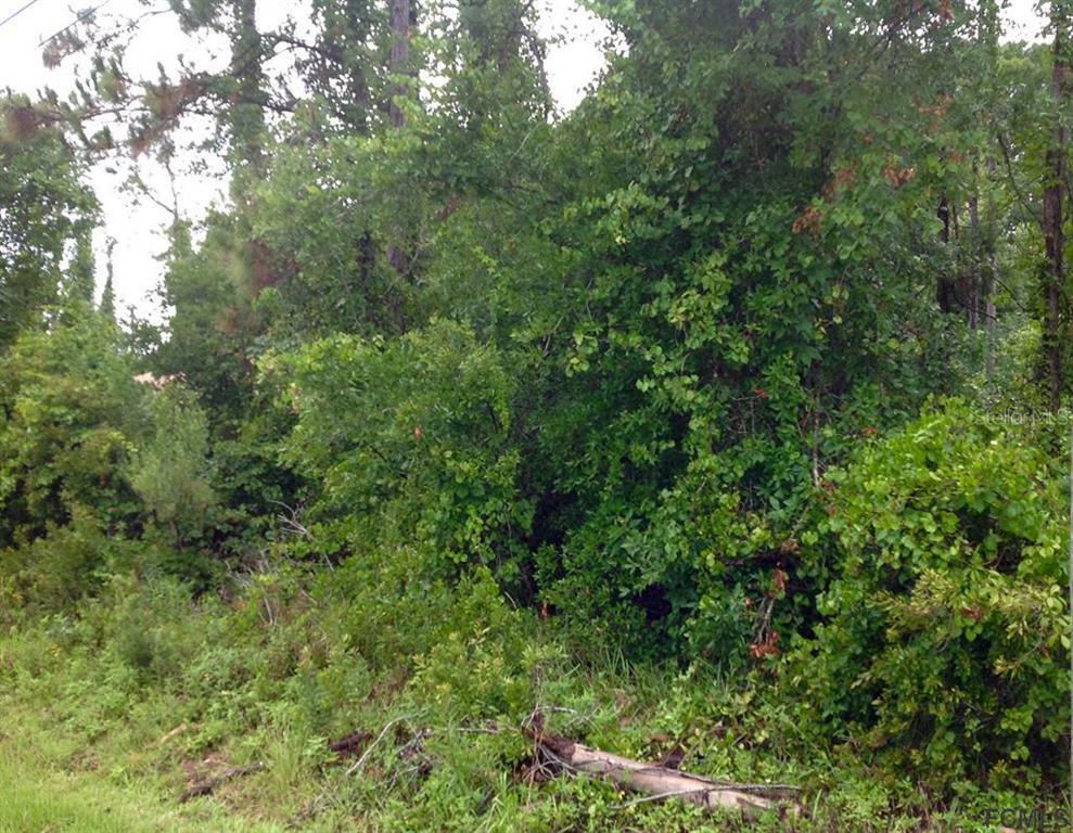 Property Photo:  69 Zebulahs Trail  FL 32164 