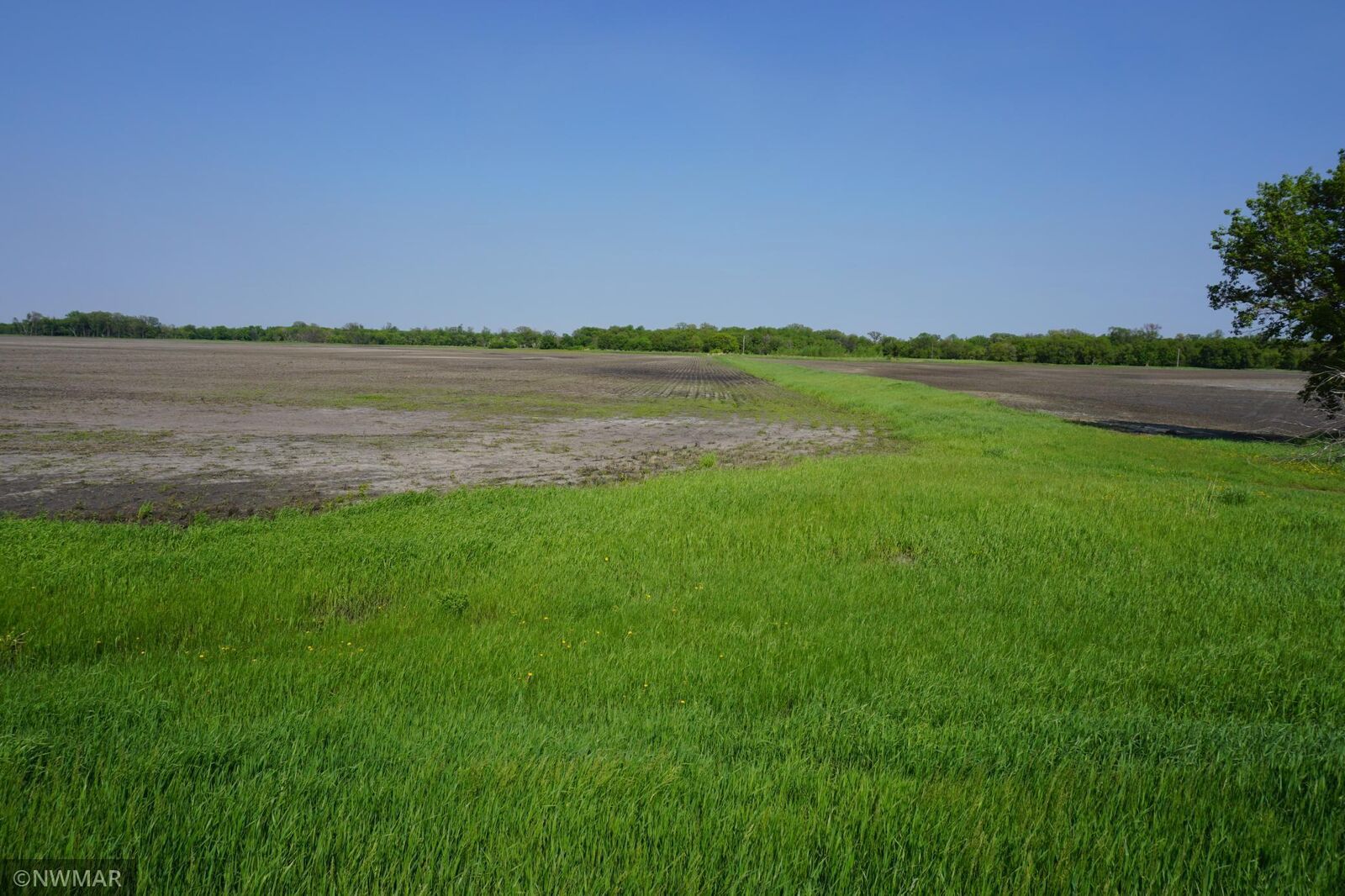 Property Photo:  Tbd 330th Avenue NW  MN 56713 