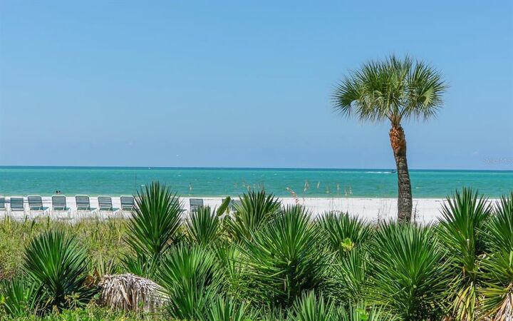 Property Photo:  225 Hourglass Way 205  FL 34242 