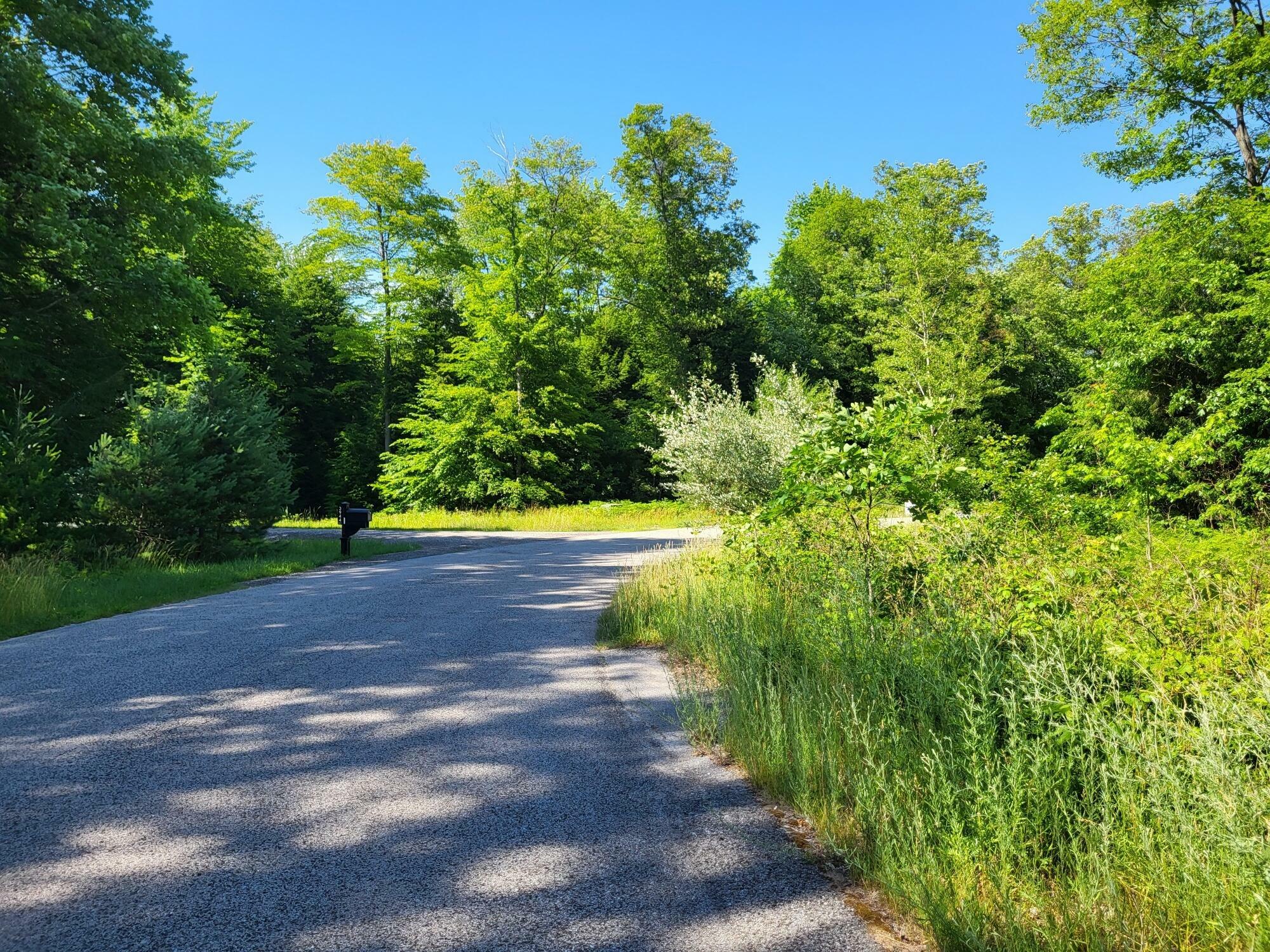 Property Photo:  0 Duck Creek Lane  MI 49461 