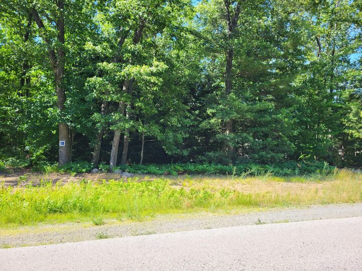 0 Serenity Lane  Whitehall MI 49461 photo