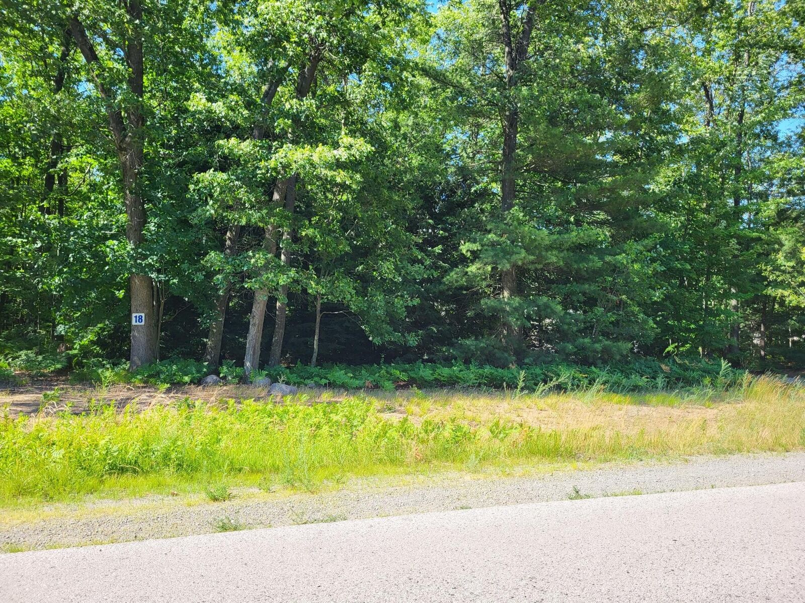 Property Photo:  0 Serenity Lane  MI 49461 