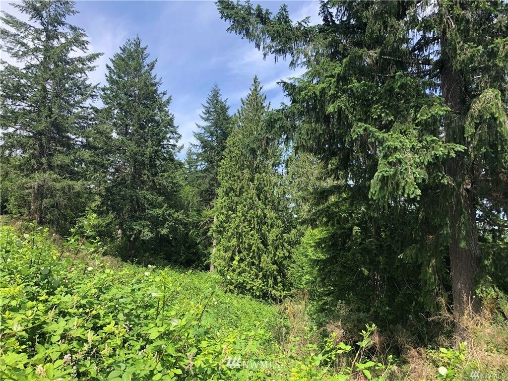 Property Photo:  0 E Allynview Drive  WA 98524 